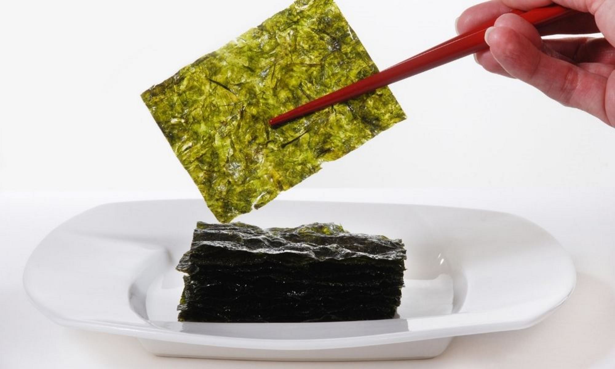 seaweed meal, dish