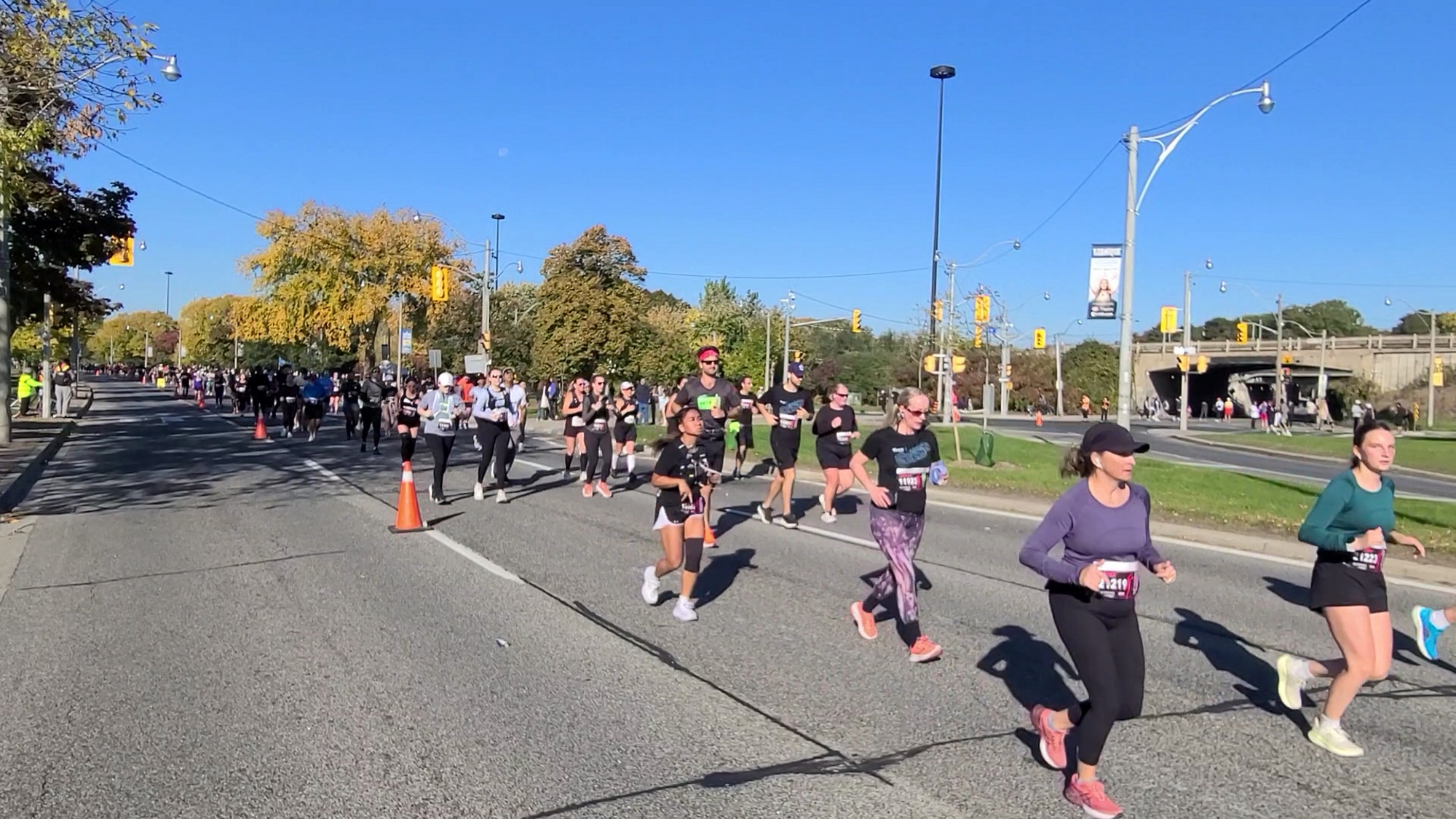 Huge turnout for the running of the 2024 Toronto Waterfront Marathon